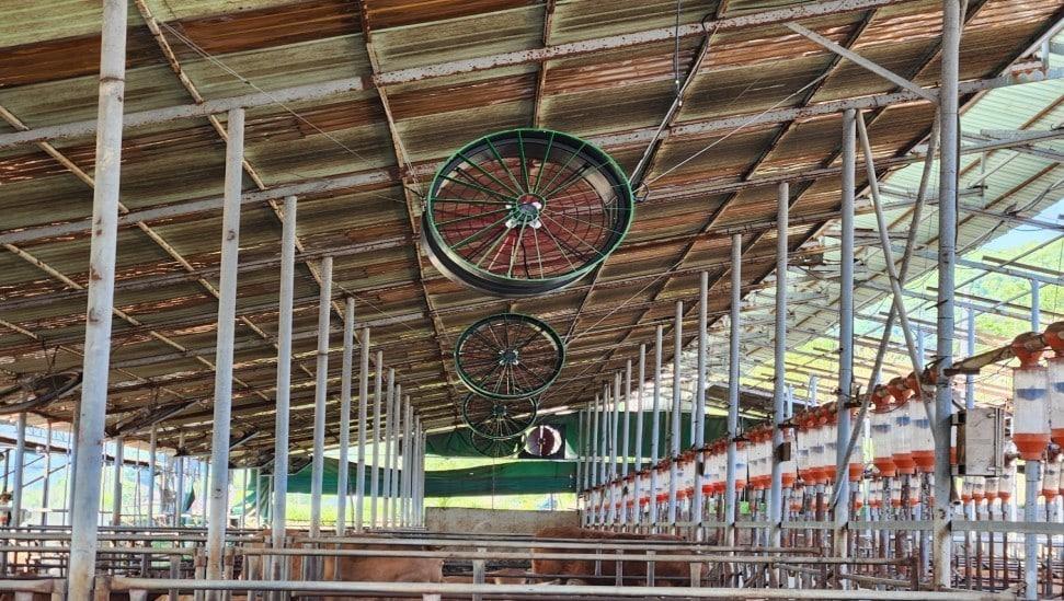 본문 이미지 - 에어제트팬·측벽배기팬(시 제공. 재판매 및 DB금지)./뉴스1