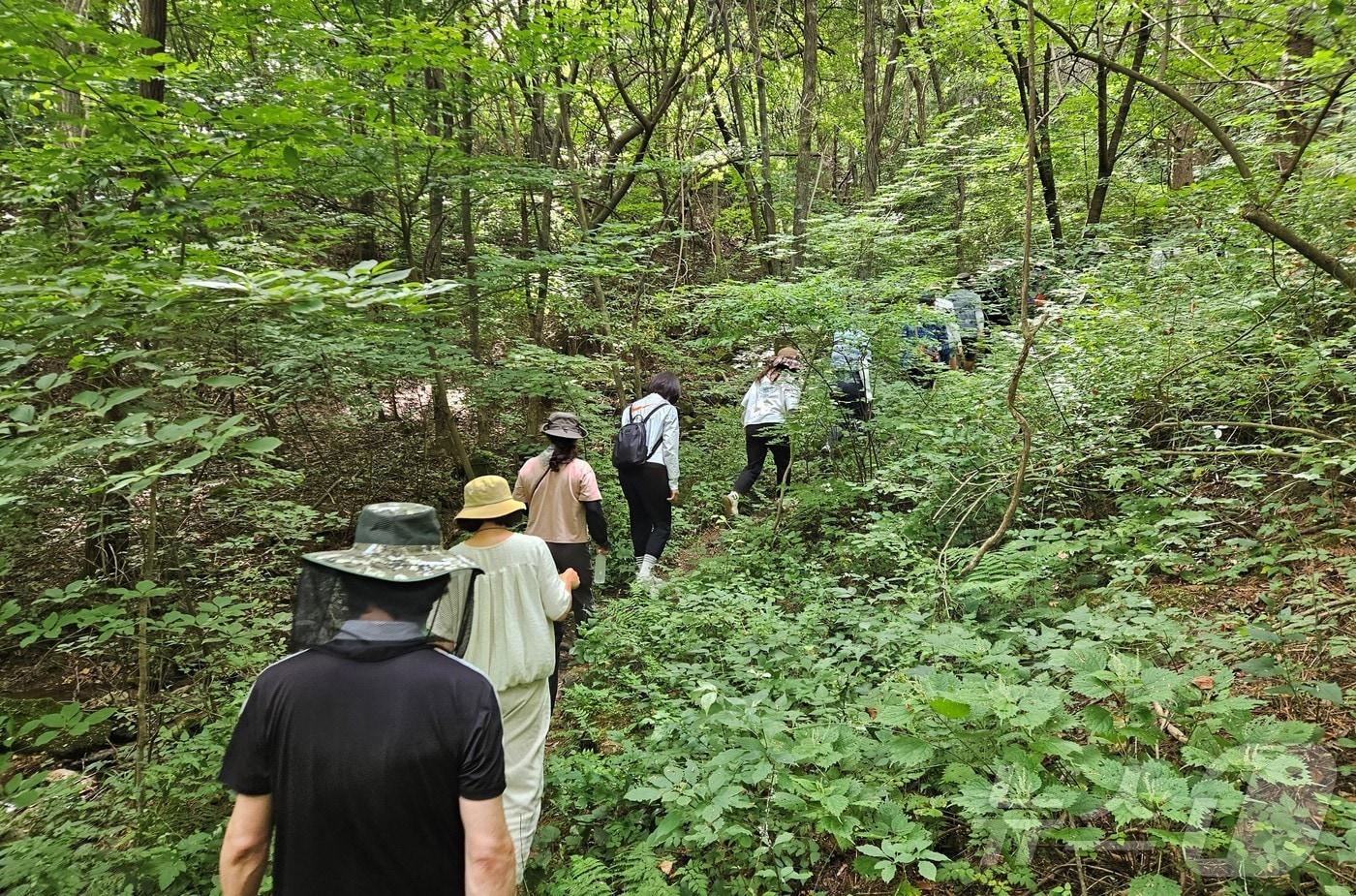 경북 초·중등 교사 60여명이 오는 7일까지 국립백두대간수목원에서 직무연수 교육 프로그램에 참가한다.&#40;백두대간수목원 제공, 재판매 및 DB 금지&#41;ⓒ News1 김대벽기자