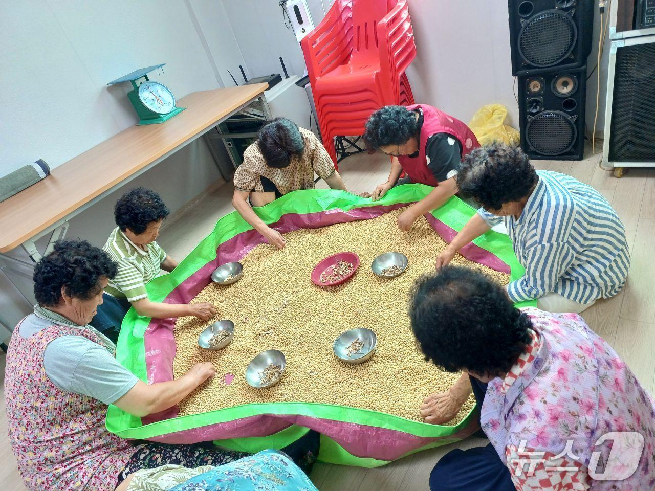 본문 이미지 - 보은군 '일하는 밥퍼' 사업장서 어르신들이 콩 고르기를 하고 있다. (보은군 제공, 재판매 및 DB금지) /뉴스1 