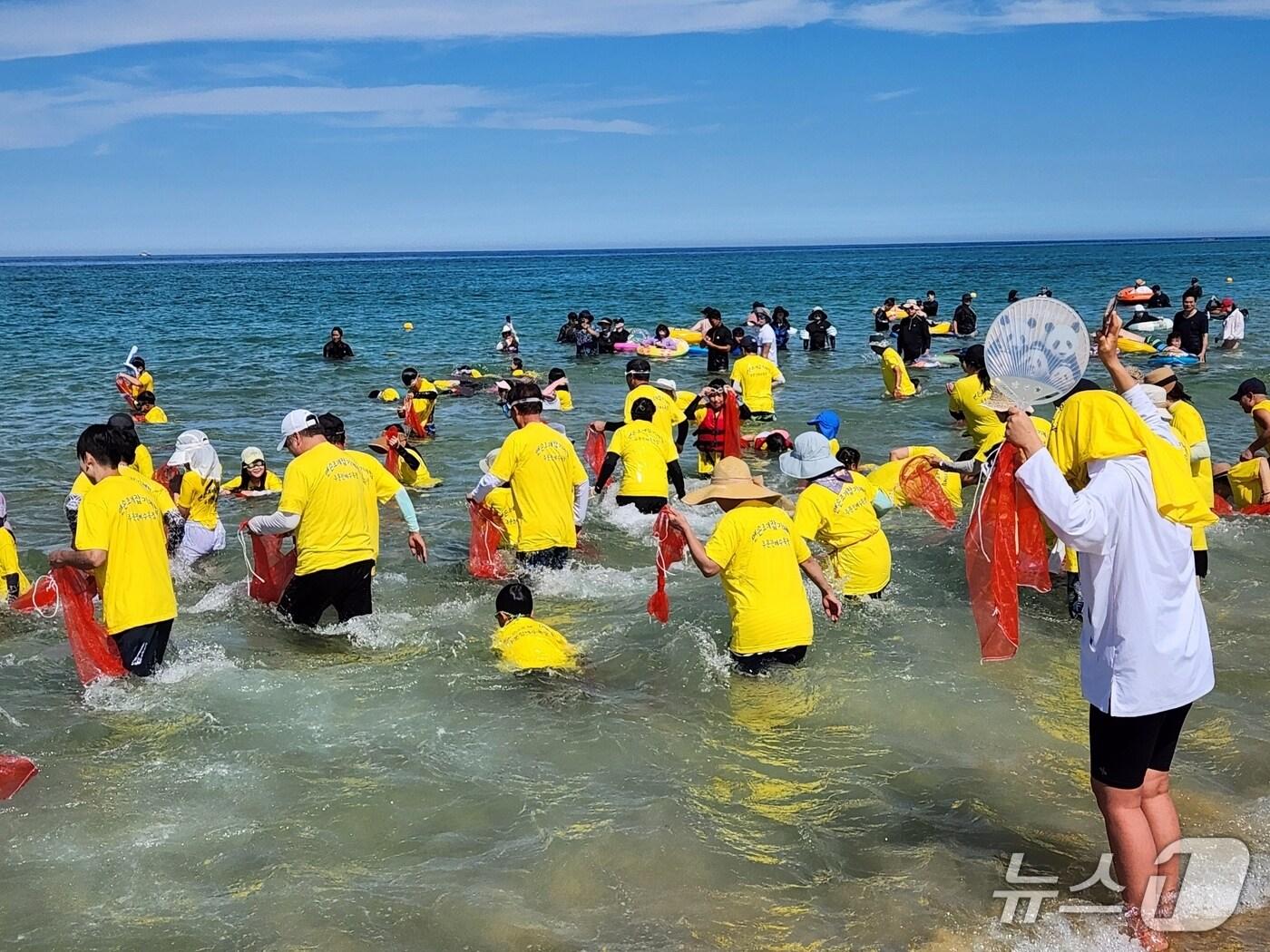 본문 이미지 - 주문진해수욕장 조개잡이 축제&#40;강릉시 제공. 재판매 및 DB금지&#41;/뉴스1