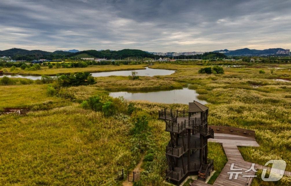 본문 이미지 - 인천시 남동구 소래습지생태공원.(인천시 제공. 재배포 및 DB금지)2025.8.10/뉴스1