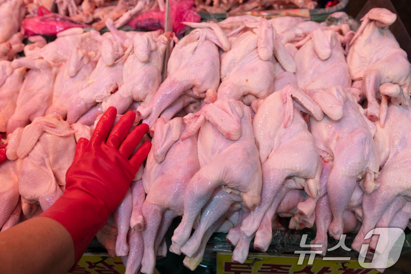 본문 이미지 -  서울 시내의 한 전통시장에 닭고기가 진열돼 있다.ⓒ News1 이승배 기자