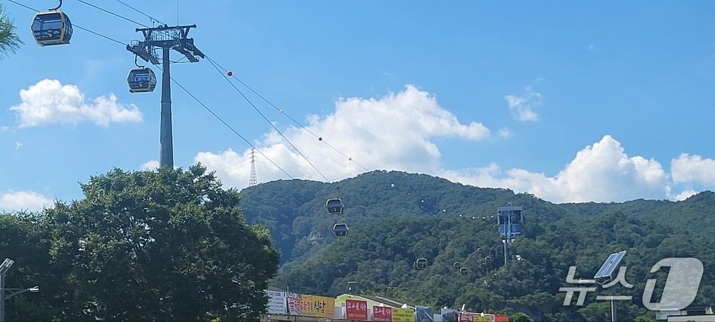 10일 낮 강원 원주시 간현관광지 소금산그랜드밸리에서 케이블카가 운영되는 모습 2025.8.10/뉴스1 신관호 기자