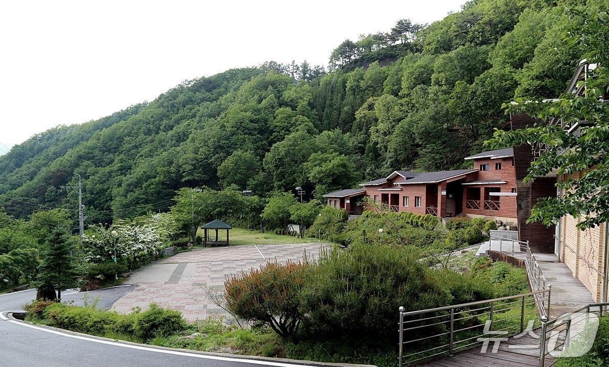 본문 이미지 - 새롭게 단장한 영동군 민주지산 자연휴양림 (영동군 제공, 재판매 및DB금지) /뉴스1 