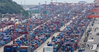 본문 이미지 - 올 8월 부산항 신선대부두 야적장에 컨테이너가 가득 쌓여 있는 모습. 2025.8.11/뉴스1 ⓒ News1 윤일지 기자