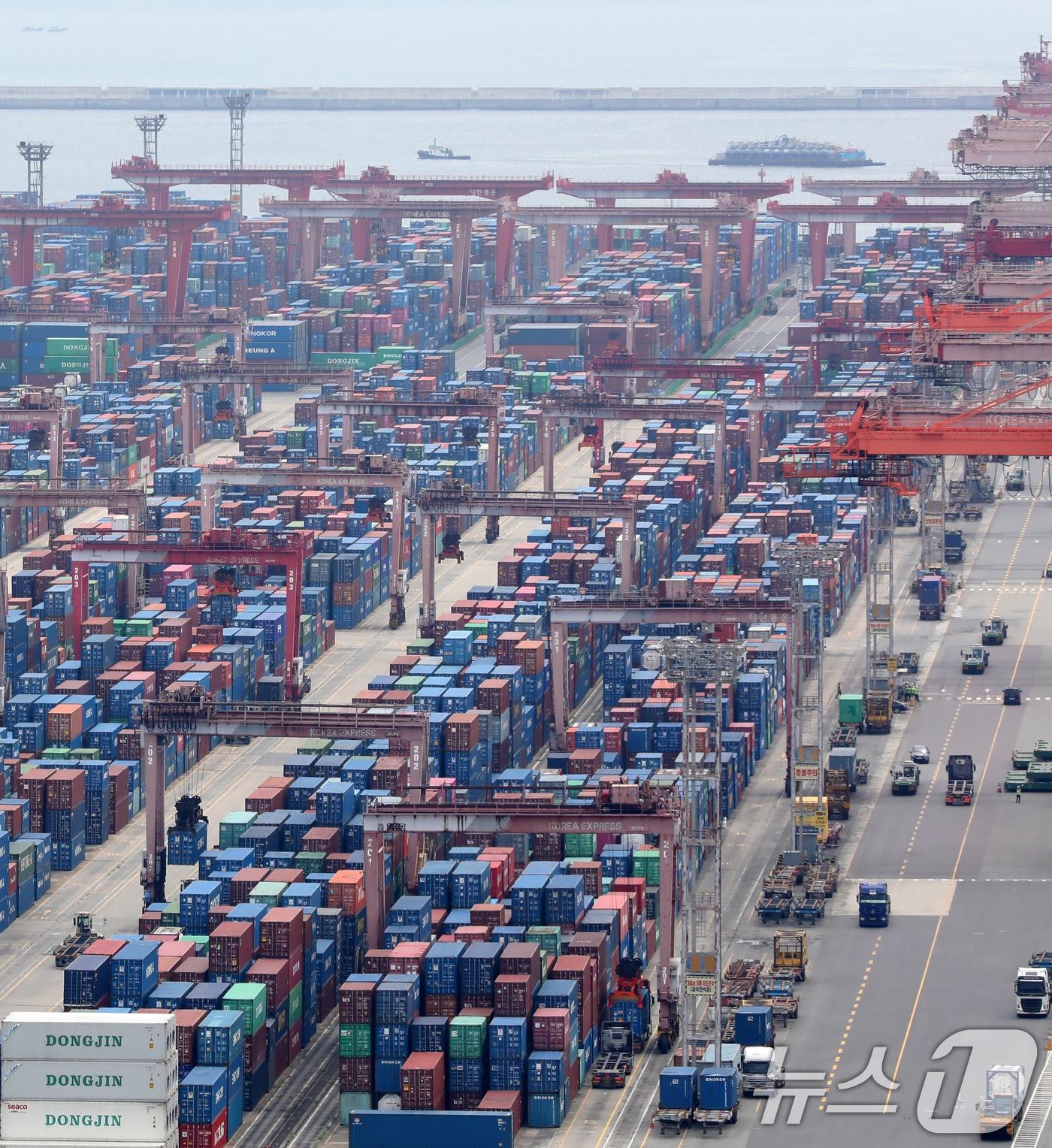 본문 이미지 - 부산항 신선대부두 야적장. 2025.8.11/뉴스1 ⓒ News1 윤일지 기자