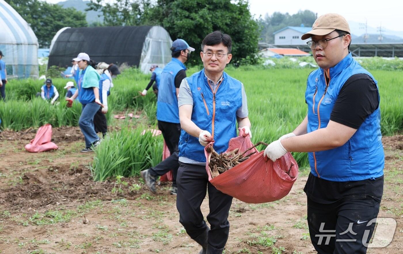 경기도경제과학진흥원 임직원 40여 명이 11일 가평군 조종면 일대에서 수해 복구 봉사활동을 실시했다.( 제공. 재판매 및 DB금지)/뉴스1