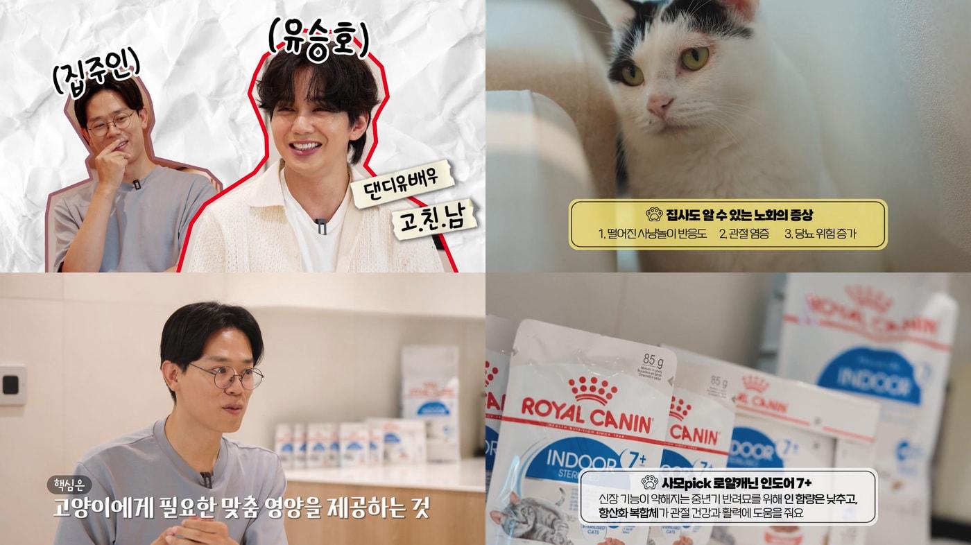로얄캐닌코리아가 유튜브 채널 &#39;미야옹철의 냥냥펀치&#39;를 통해 김명철 수의사, 유승호 배우와 함께 반려묘 노화 관리법을 전했다&#40;로얄캐닌 제공&#41;. ⓒ 뉴스1