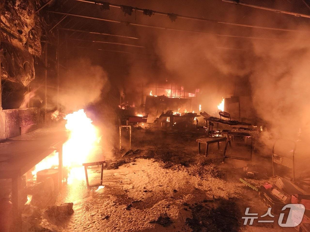 본문 이미지 - 12일 오전 1시 17분쯤 충북 영동군 심천면 복숭아 선별·포장 작업장 비닐하우스에 불이 나 1시간여 만에 진화됐다. (영동소방서, 재판매 및 DB금지) /뉴스1