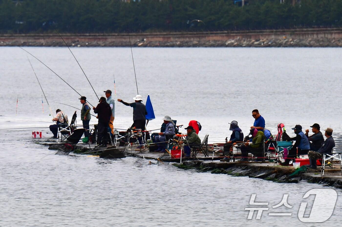 낚시 자료사진(사진은 기사 내용과 무관함) / 뉴스1 ⓒ News1