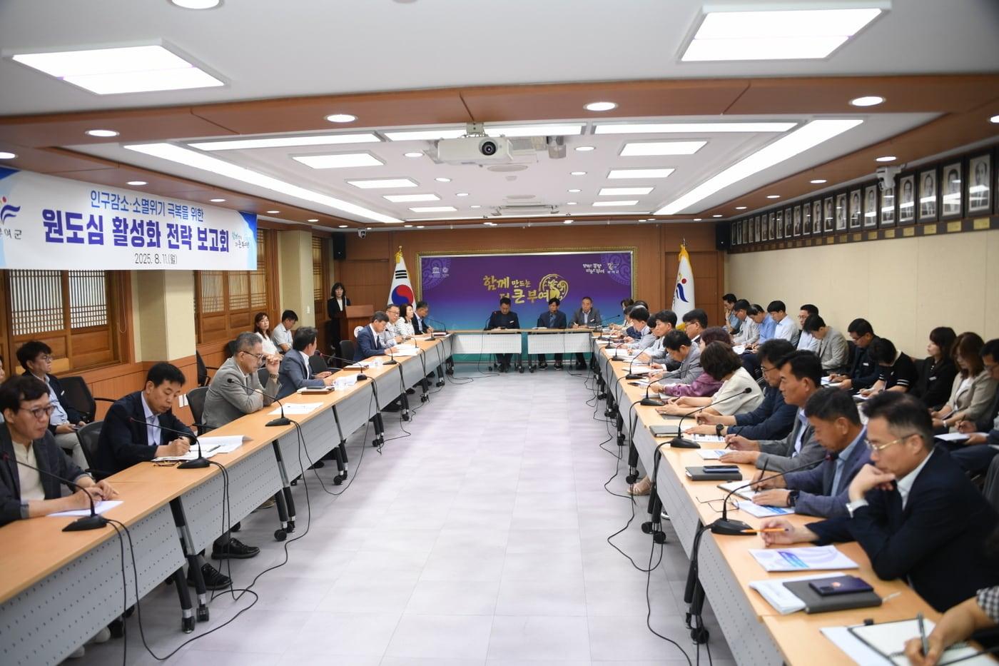 '원도심 활성화 전략 보고회' 진행 모습.(부여군 제공. 재판매 및 DB금지)/뉴스1 