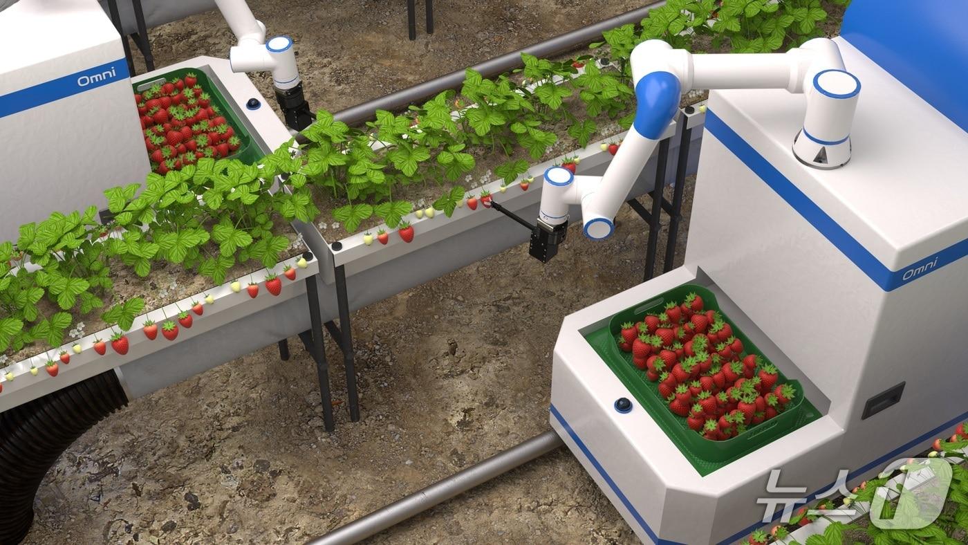 옴니파머 온실 운영 모습(메타파머스 제공)