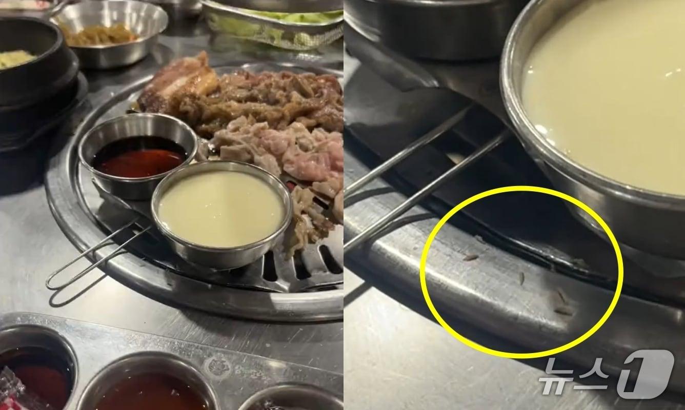 본문 이미지 - &#40;틱톡 갈무리&#41;