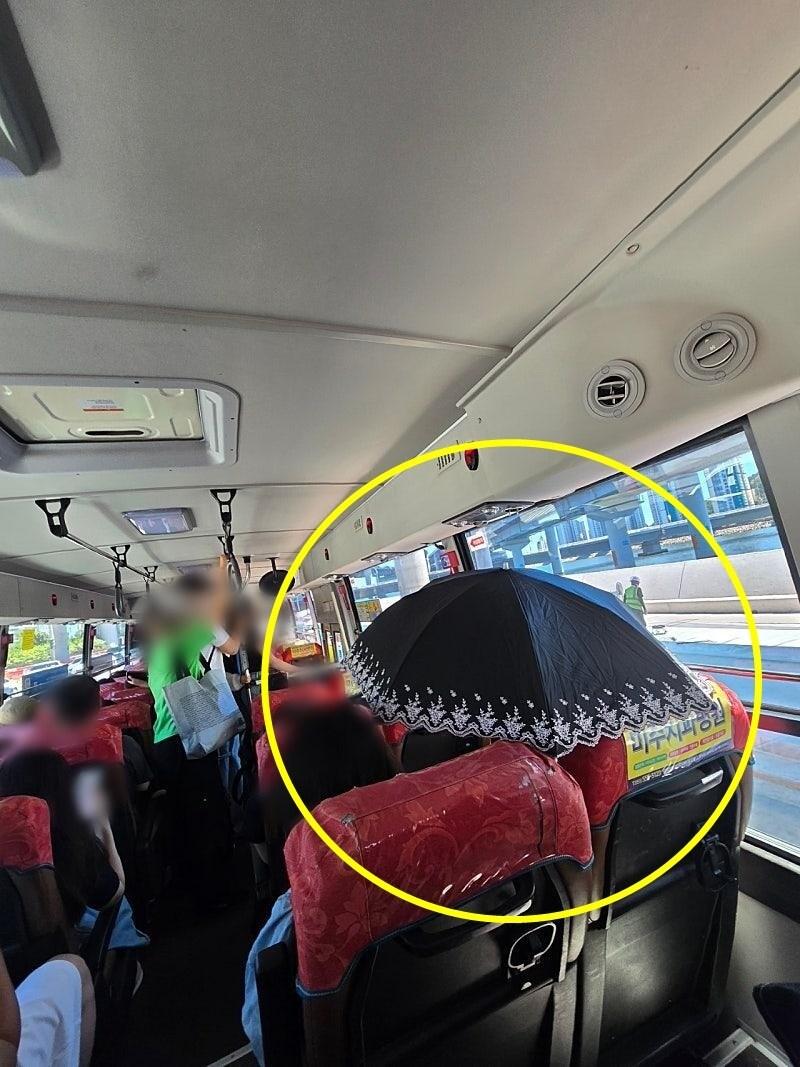 본문 이미지 - &#40;보배드림 갈무리&#41;