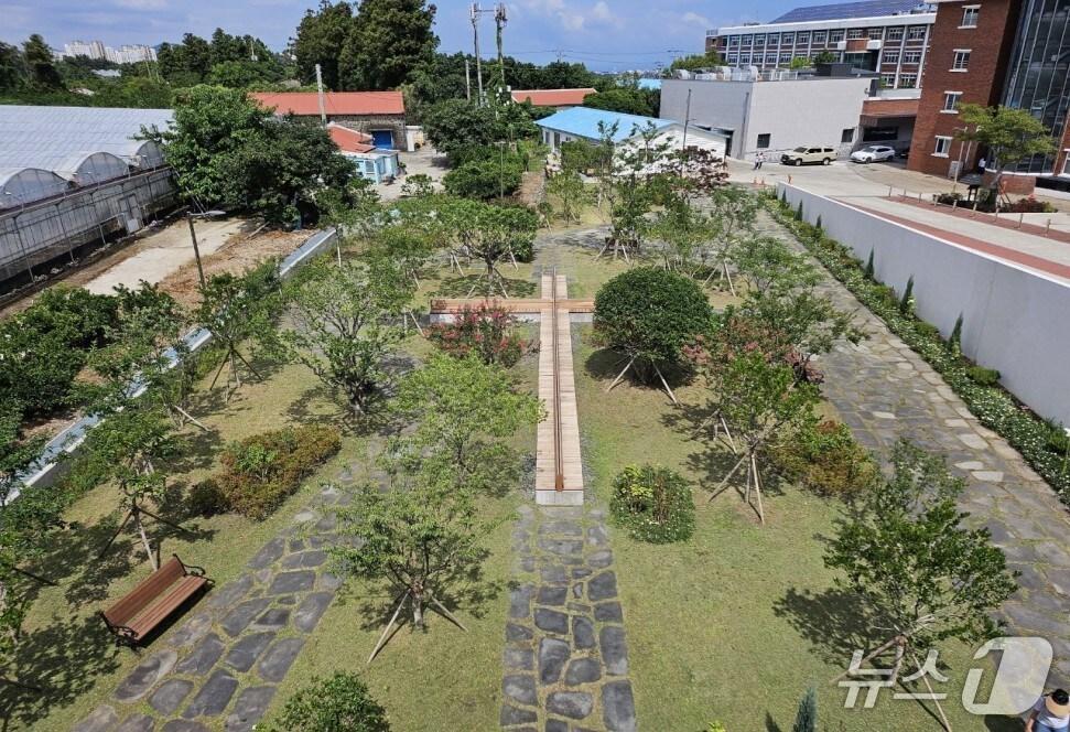 본문 이미지 -  신성여고에 조성한 학교숲 전경.(제주시 제공. 재판매 및 DB 금지)/뉴스1