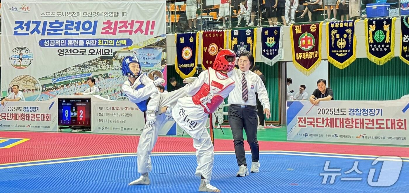 12일 영천체육관에서 열린 경찰청장기 전국 단체대항 태권도대회 경기 모습.(영천시 제공. 재판매 및 DB금지)/뉴스1
