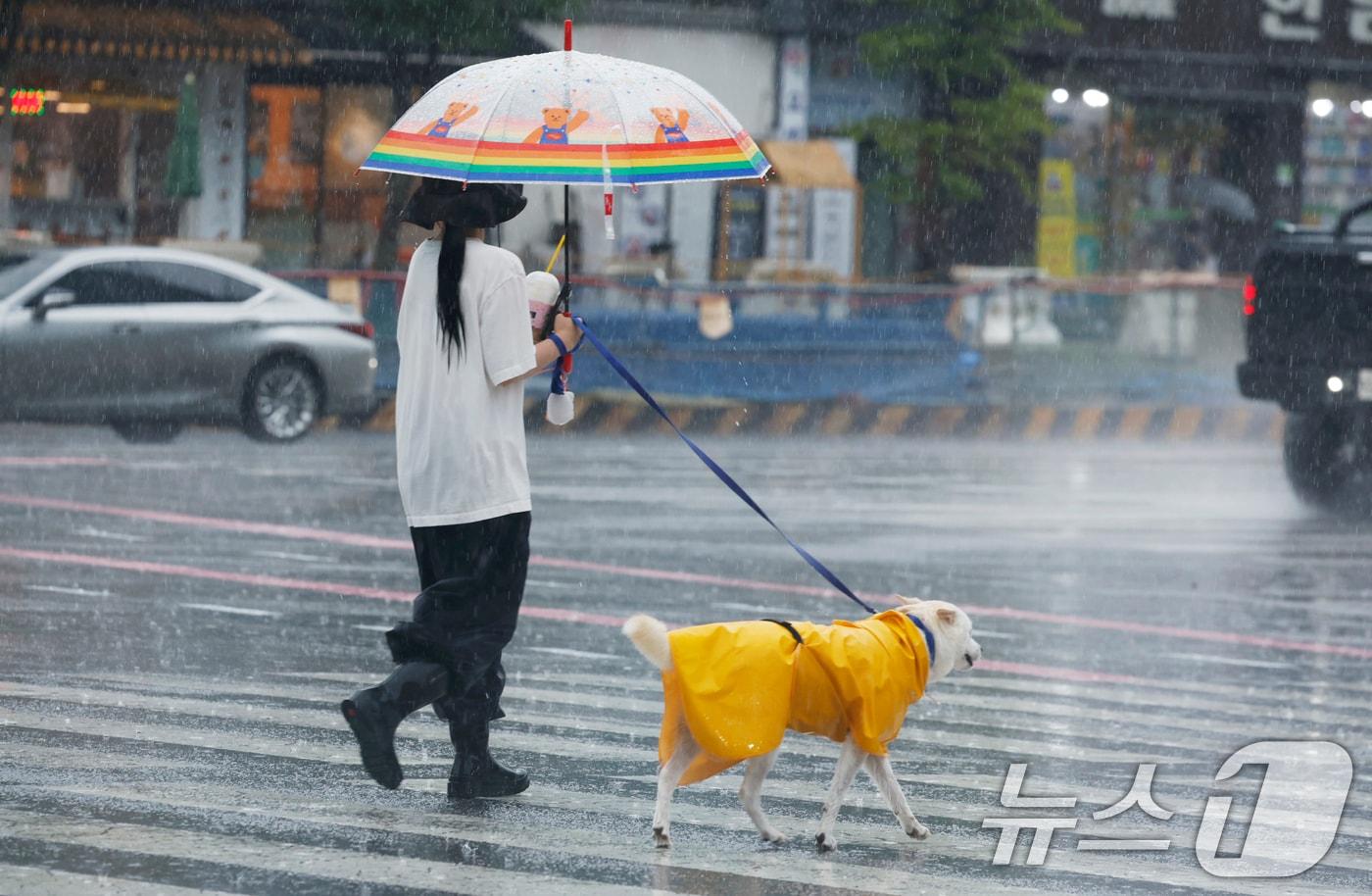 비가 내린 12일 광주시 서구 상무지구에서 우산을 쓴 시민이 개와 길을 걷고 있다. ⓒ News1 김태성 기자