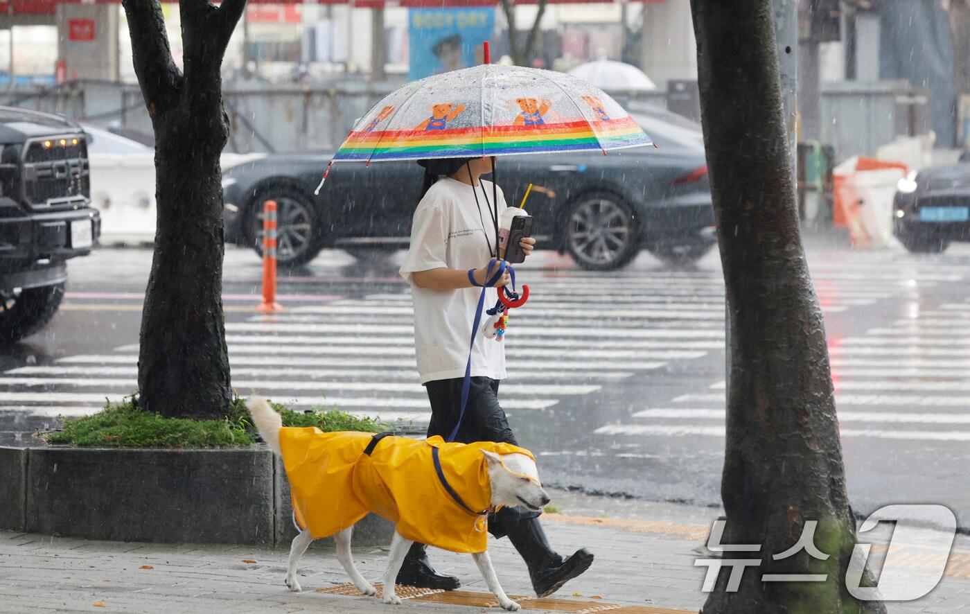 비가 내린 12일 광주 서구 상무지구에서 우산을 쓴 시민이 개와 길을 걷고 있다. 2025.8.12/뉴스1 ⓒ News1 김태성 기자