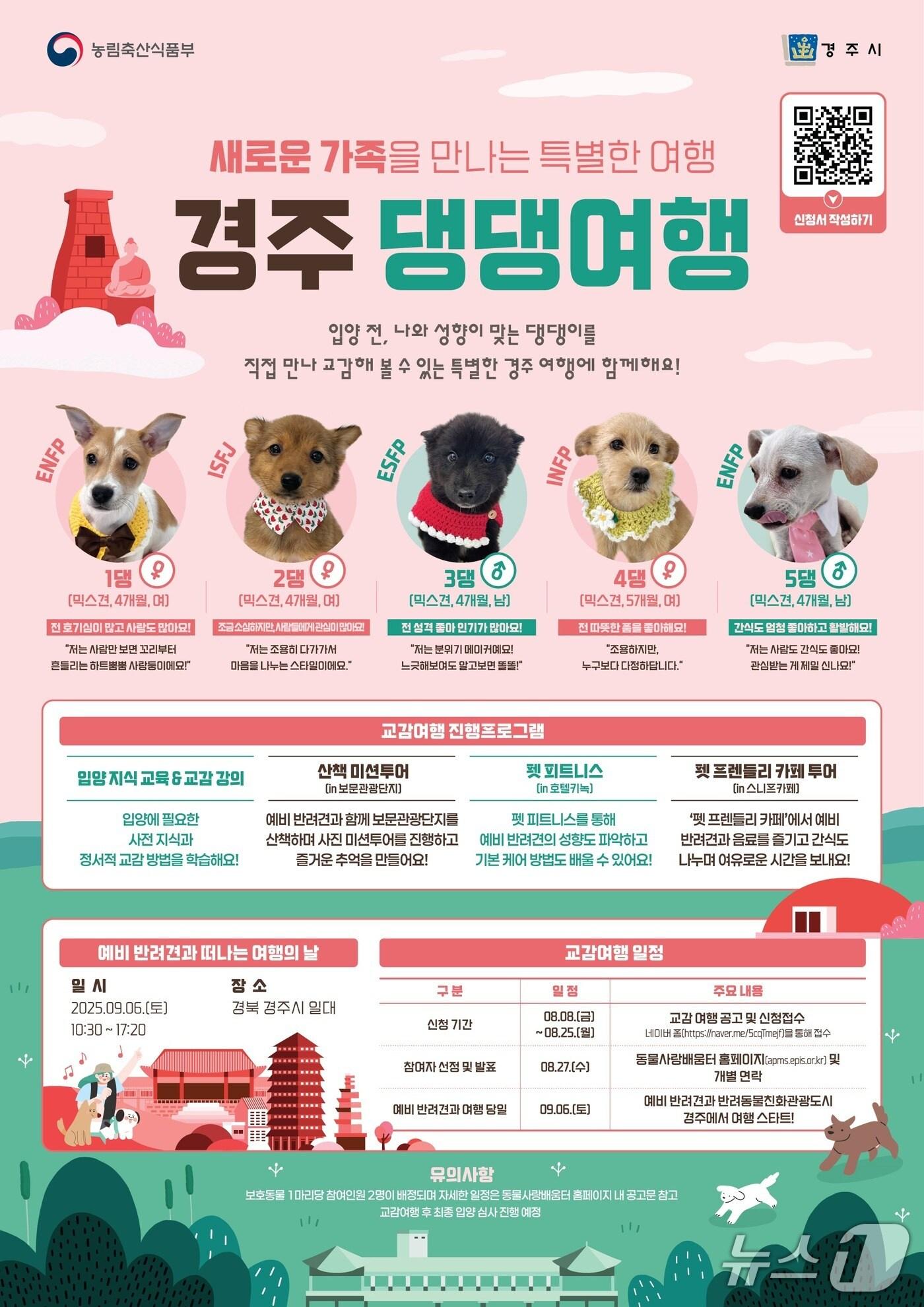 본문 이미지 - 오는 9월6일 경주 보문단지에서 유실.유기 동물 입양 촉진과 반려동물 문화 확산을 위한 '댕댕 여행' 행사가 열린다. (경주시 제공, 재판매 및 DB금지) 