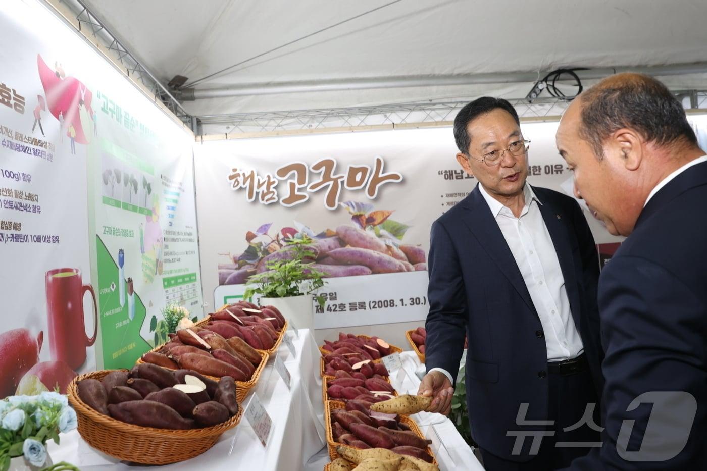 명현관 군수가 해남미남축제 고구마 전시관을 둘러보고 있다. &#40;해남군 제공. .재판매 및 DB금지&#41; /뉴스1 