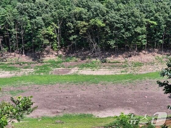 본문 이미지 - 12일 오후 강원 강릉시 성산면 오봉리 오봉저수지와 일대 하천의 바닥이 드러나 있다. 2025.8.12/뉴스1 ⓒ News1 윤왕근 기자