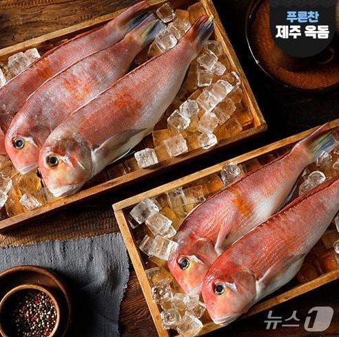 본문 이미지 - 홈앤쇼핑 제주 옥돔 (홈앤쇼핑 제공)