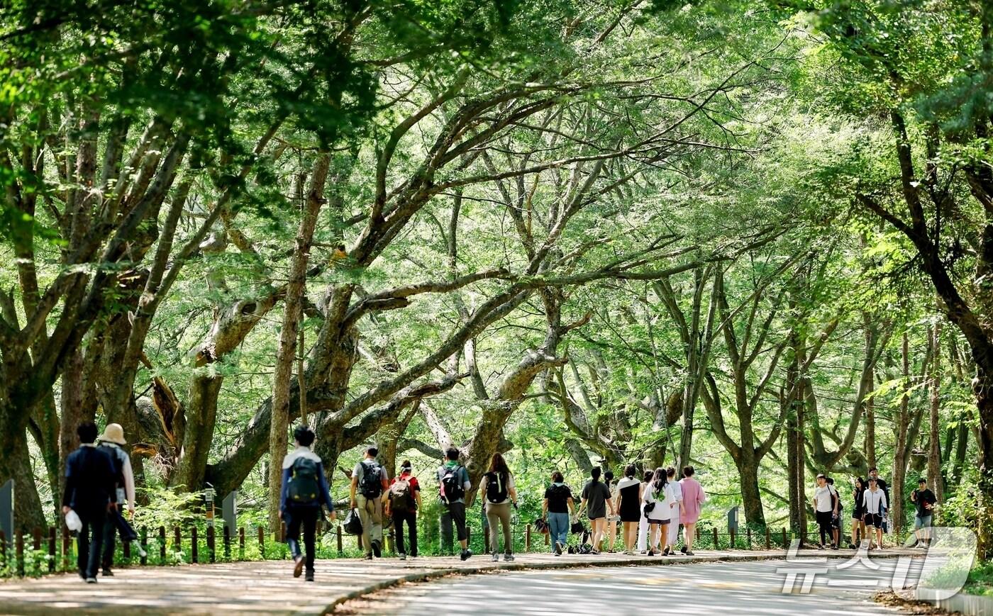 화양구곡 (괴산군 제공)