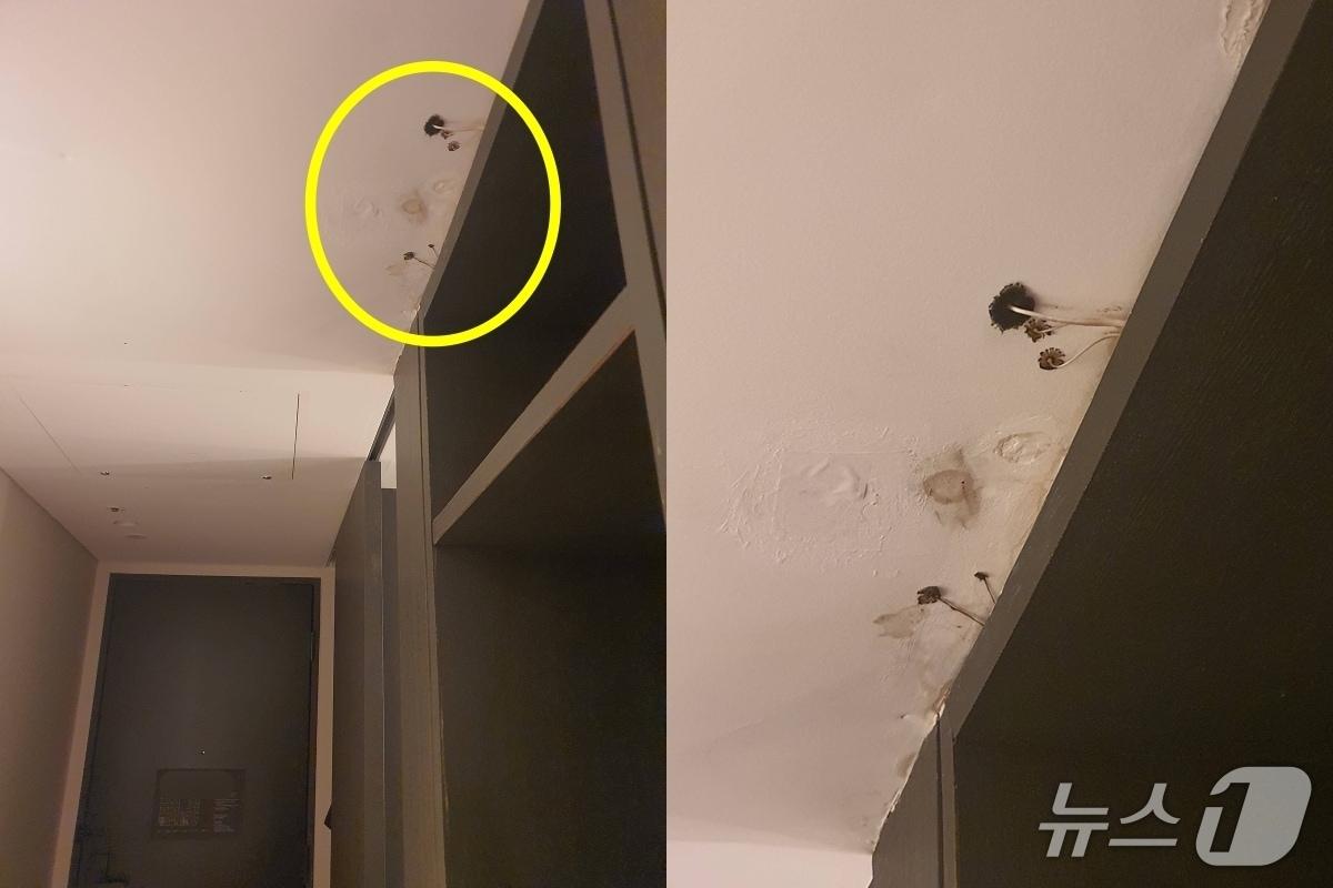 본문 이미지 - &#40;블라인드 갈무리&#41;