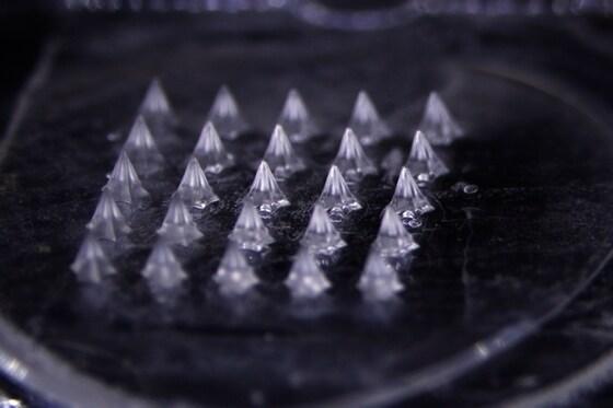 본문 이미지 - 대웅테라퓨틱스가 개발한 마이크로니들 패치를 6.7배 확대 촬영한 모습.&#40;대웅제약 제공&#41;/뉴스1