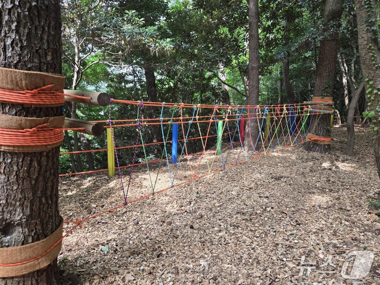 본문 이미지 -  유아동네숲터 흔들다리(제주도 제공. 재판매 및 DB금지)/뉴스1