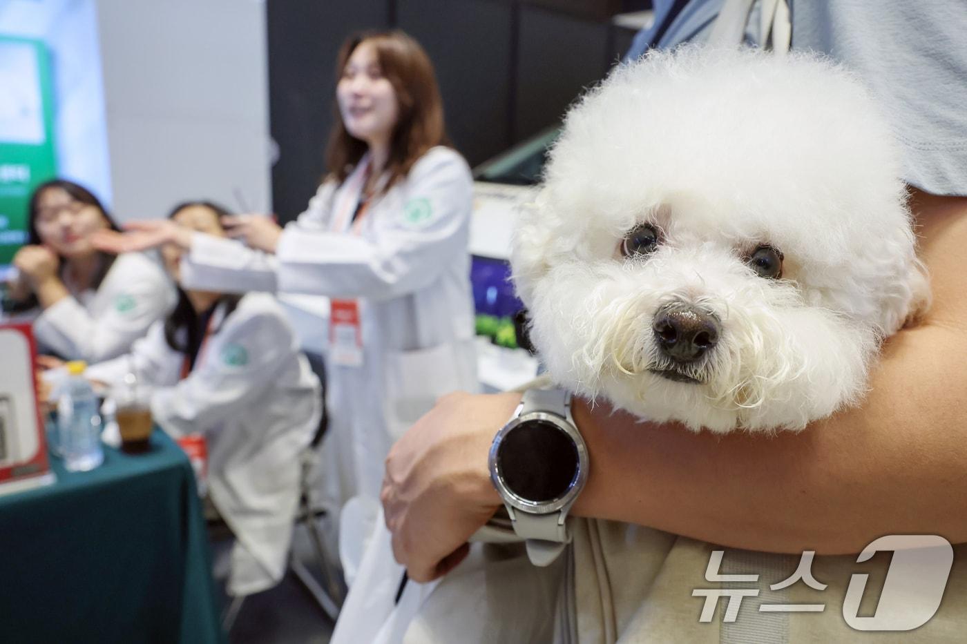 지난 8월 서울 강남구 코엑스에서 열린 &#39;2025 케이펫페어 서울&#39;에 마련된 건국대학교 동물병원 부스를 찾은 관람객들이 반려견의 건강상담을 받고 있다. 이번 전시에서는 사료, 의류, 유모차, 장난감 등 185개사 306 부스가 참여했다. 2025.8.13/뉴스1 ⓒ News1 민경석 기자