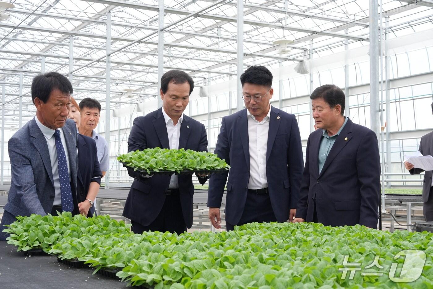 음성군 대소 다올찬수박공정 육묘장 모습.(음성군 제공. 재판매 및 DB금지)/뉴스1 