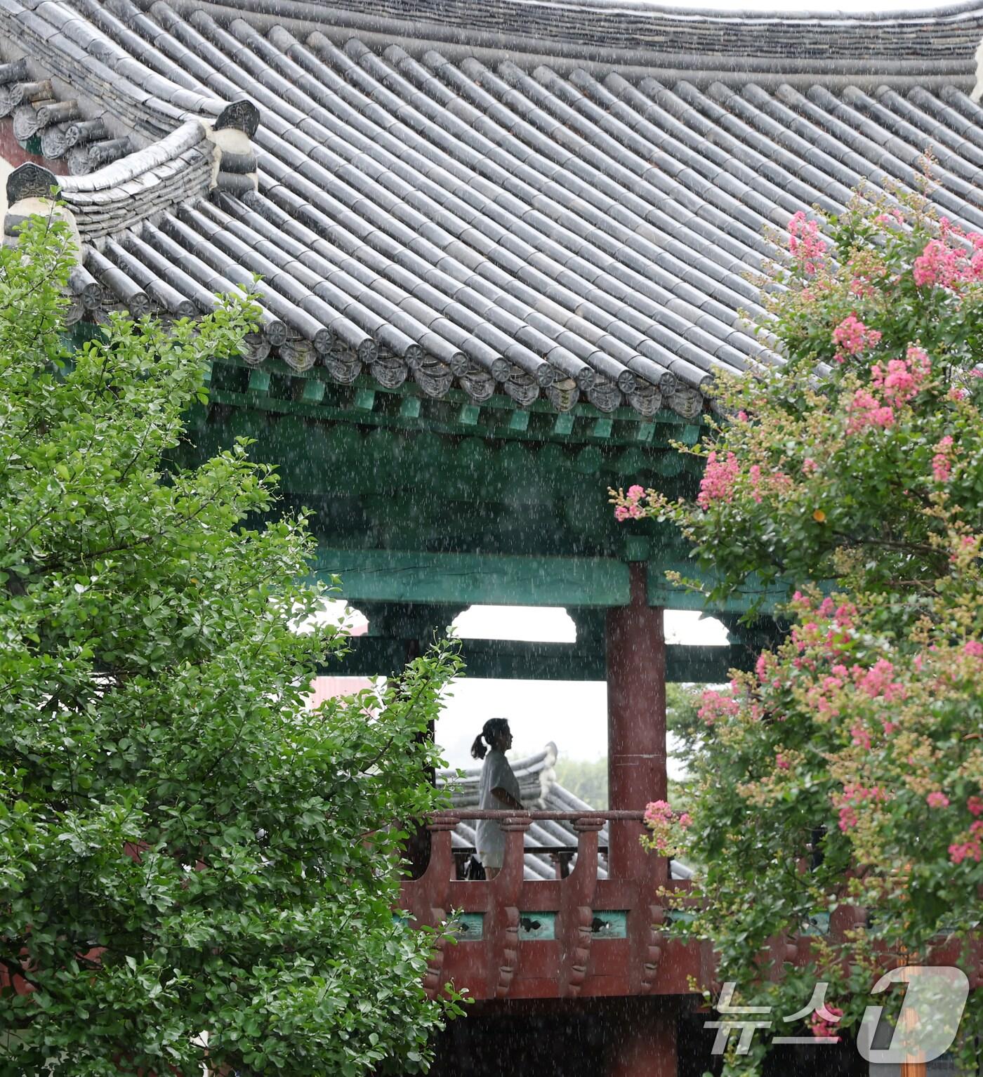 본문 이미지 - 전북 전주시 전주향교를 찾은 한 시민이 세차게 쏟아지는 소나기를 피하고 있다. 2025.8.13/뉴스1 ⓒ News1 유경석 기자