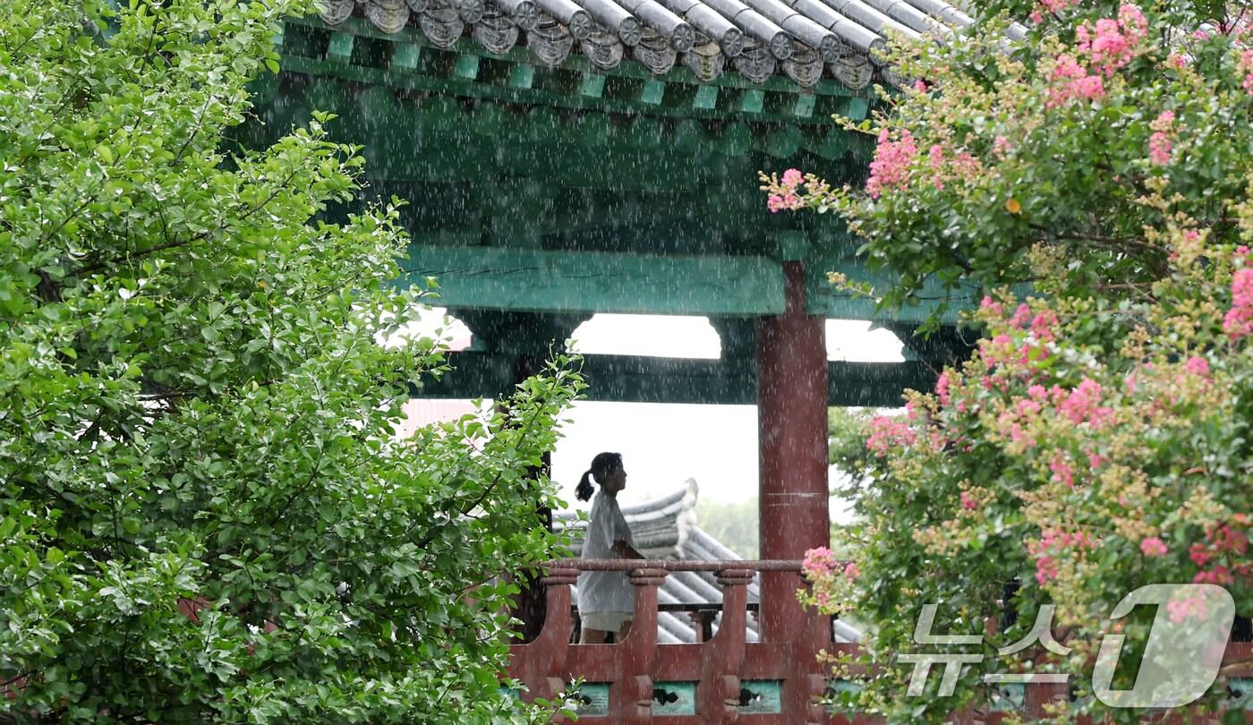  전북 전주시 전주향교를 찾은 한 시민이 세차게 쏟아지는 소나기를 피하고 있다. 2025.8.13/뉴스1 ⓒ News1 유경석 기자