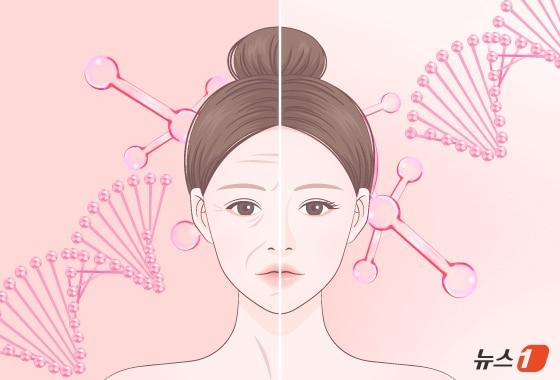 본문 이미지 - ⓒ News1 김지영 디자이너