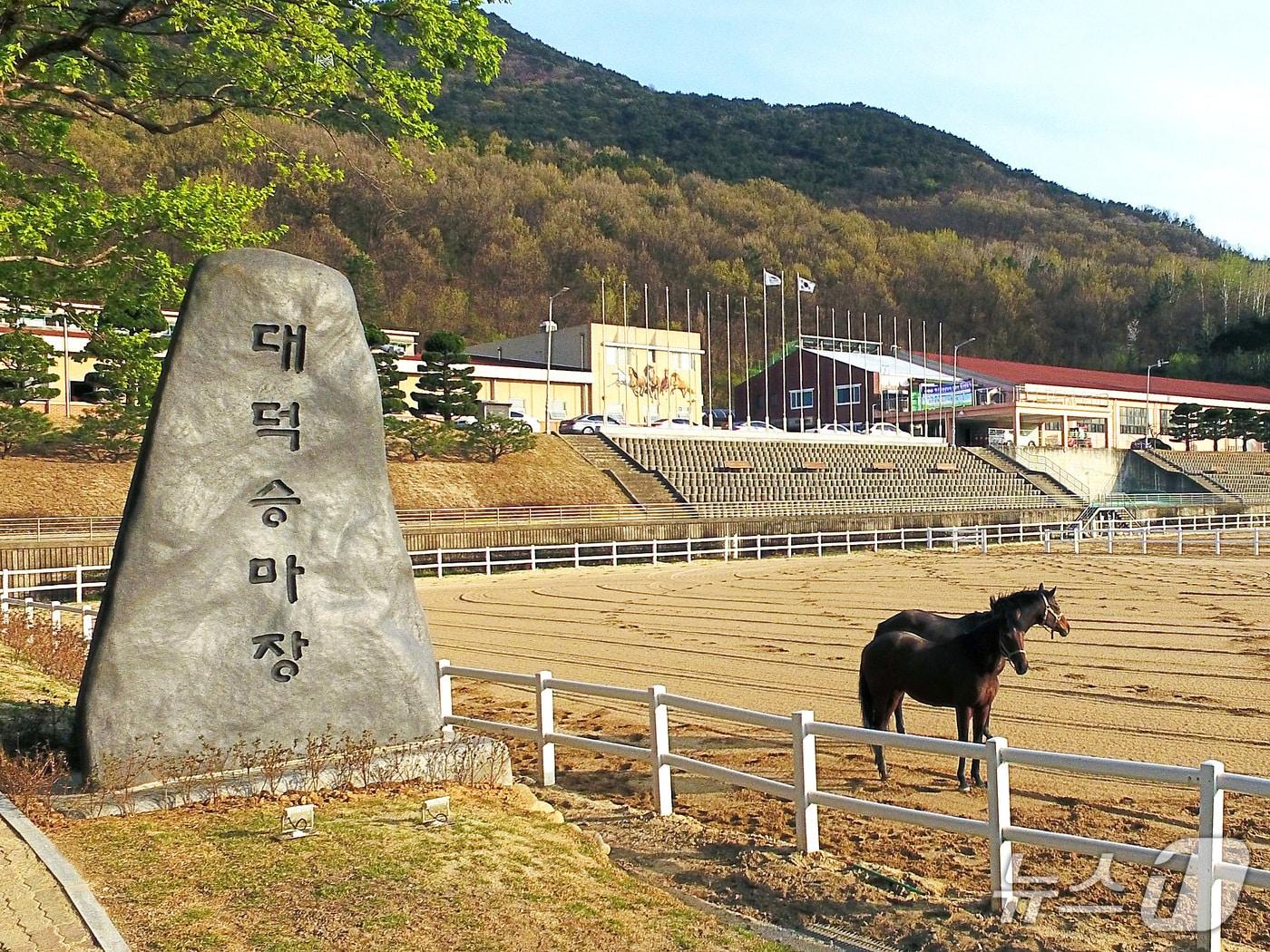 본문 이미지 - 대구 달서구 대덕승마장 전경. (대덕승마장 제공. 재판매 및 DB금지)