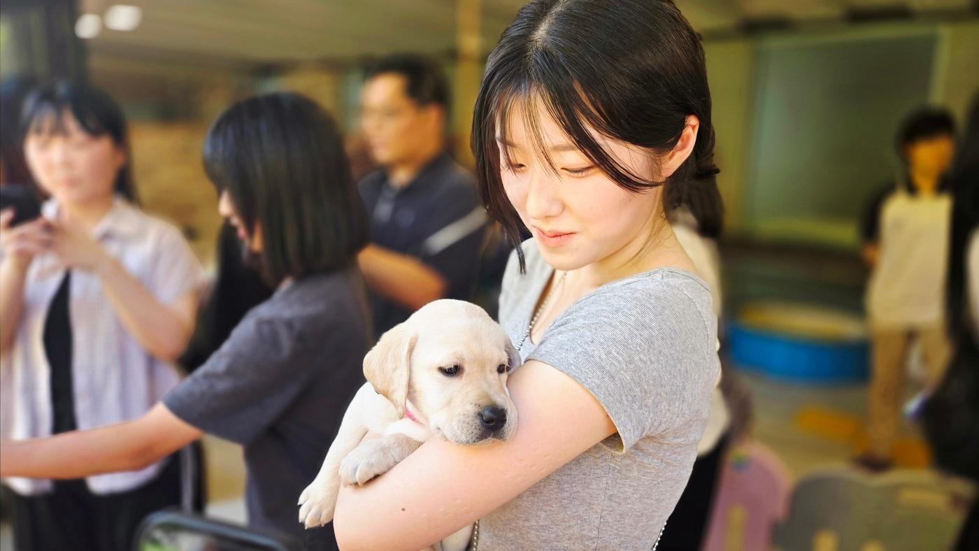박연우 호남대 반려동물산업학과 학생이 삼성화재 안내견학교에서 퍼피 체험을 하고 있다(GDIN 제공). ⓒ 뉴스1