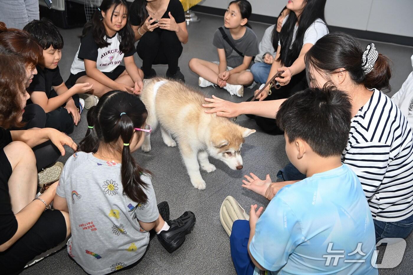 지난 12일 부산 연제구청 대회의실에서 아이들이 동물과 교감을 나누고 있는 모습. &#40;연제구 제공. 재판매 및 DB 금지&#41;