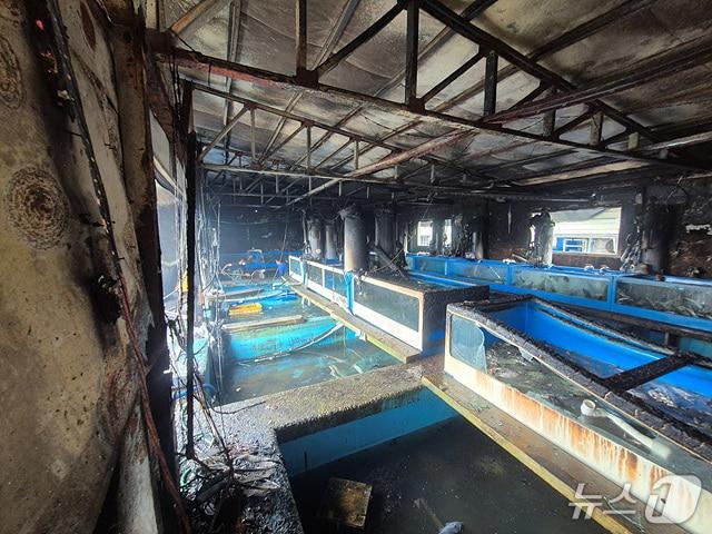 본문 이미지 -  당진 송악읍 횟집 화재 현장. (당진소방서 제공, 재판매 및 DB금지) / 뉴스1