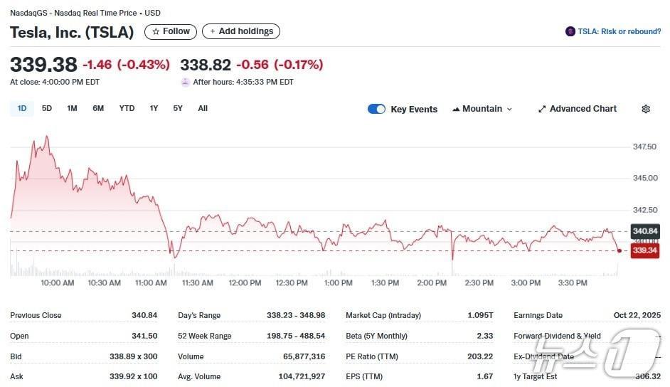 본문 이미지 - 테슬라 일일 주가추이 - 야후 파이낸스 갈무리