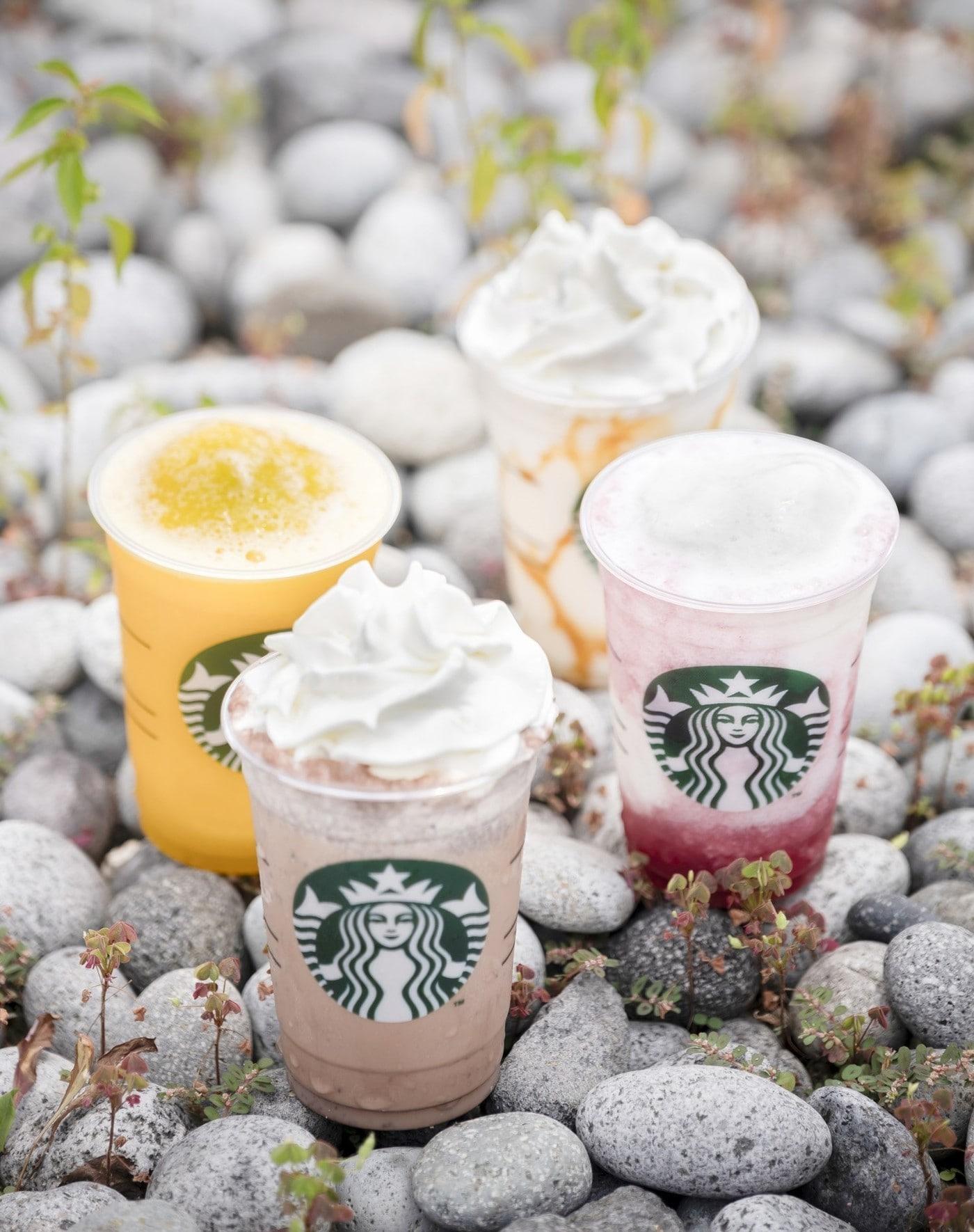 본문 이미지 - (스타벅스 코리아 제공)