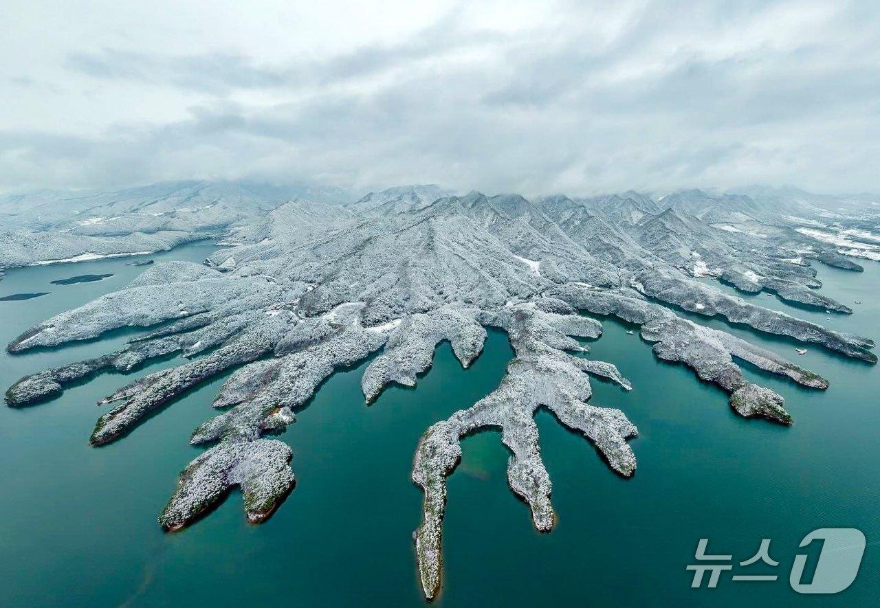 본문 이미지 -  충주호문화예술리트리트조성사업 용지 인근 악어섬 모습.(자료사진)/뉴스1