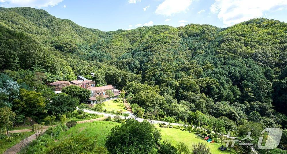 본문 이미지 - 홍천 선마을 전경./뉴스1