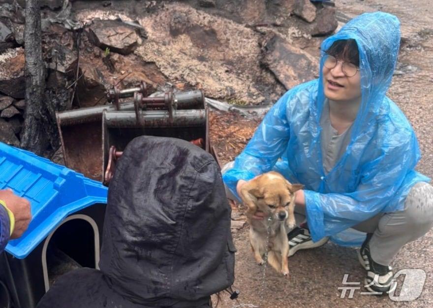 본문 이미지 - 엄태흠 수의사가 산불 현장에서 개들을 구조하고 있다(넬동물의료센터 제공). ⓒ 뉴스1