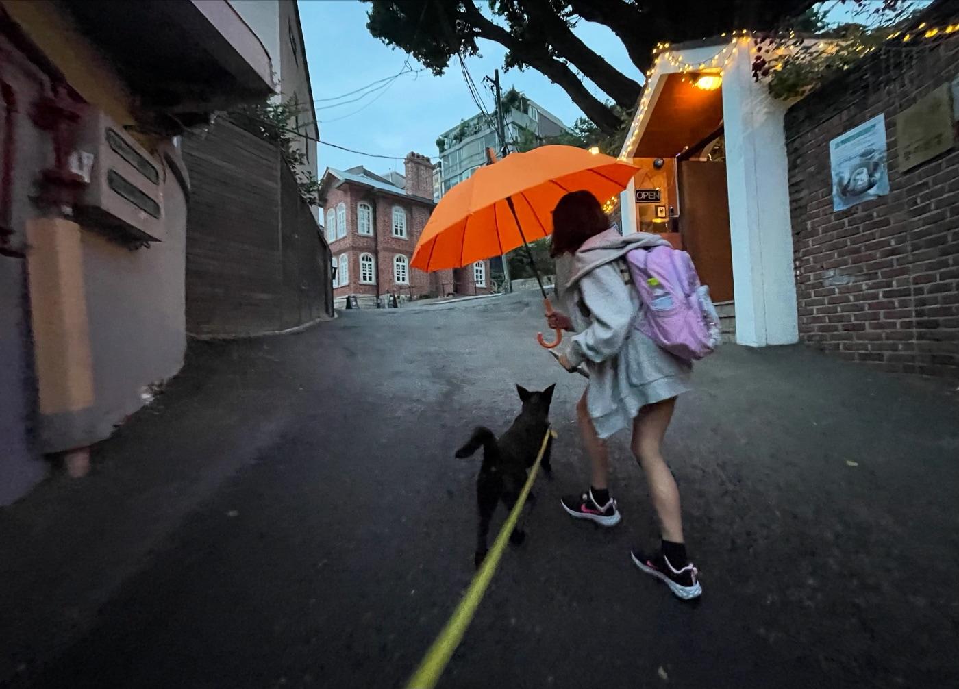 본문 이미지 - 루시와 함께한 비오는 날 하교길(인스타그램 chewwwy.lucy 제공) ⓒ 뉴스1