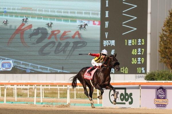 본문 이미지 - 2024년 코리아컵 우승을 차지한 일본의 크라운프라이드와 요코야마 기수가 세리모니를 펼치고 있다(한국마사회 제공. 재판매 및 DB 금지)