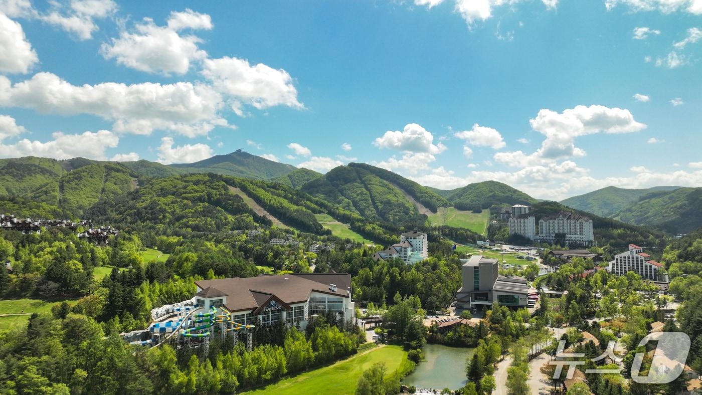 모나용평 전경(모나용평 제공)