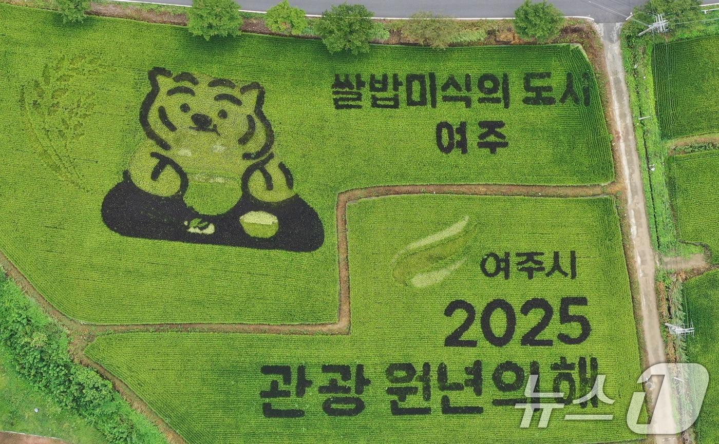 &#39;쌀의 날&#39;을 나흘 앞둔 지난 8월 14일 경기 여주시의 한 논에 유색벼를 활용한 논아트 그림이 그려져 있다.  2025.8.14/뉴스1 ⓒ News1 김영운 기자