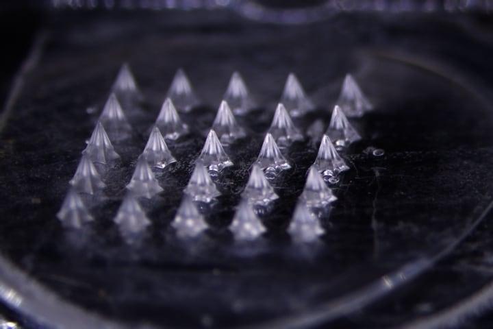 본문 이미지 - 대웅테라퓨틱스가 개발한 약물전달시스템&#40;DDS&#41; &#39;마이크로니들&#39; 패치를 6.7배 확대 촬영한 모습.&#40;대웅테라퓨틱스 제공&#41;/뉴스1