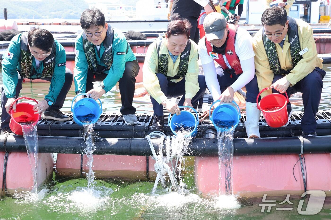 박완수 경남지사&#40;가운데&#41;가 14일 고수온 대응 점검을 위해 찾은 경남 거제시 해상 가두리양식장에서 쥐치를 방류하고 있다.&#40;경남도 제공. 재판매 및 DB금지&#41;